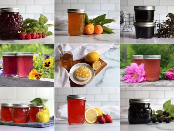 Jelly Canning Recipes