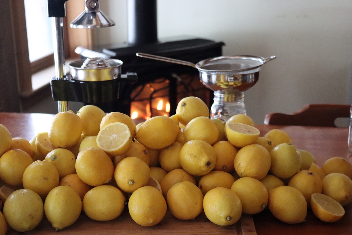Lemons for Canning Recipes
