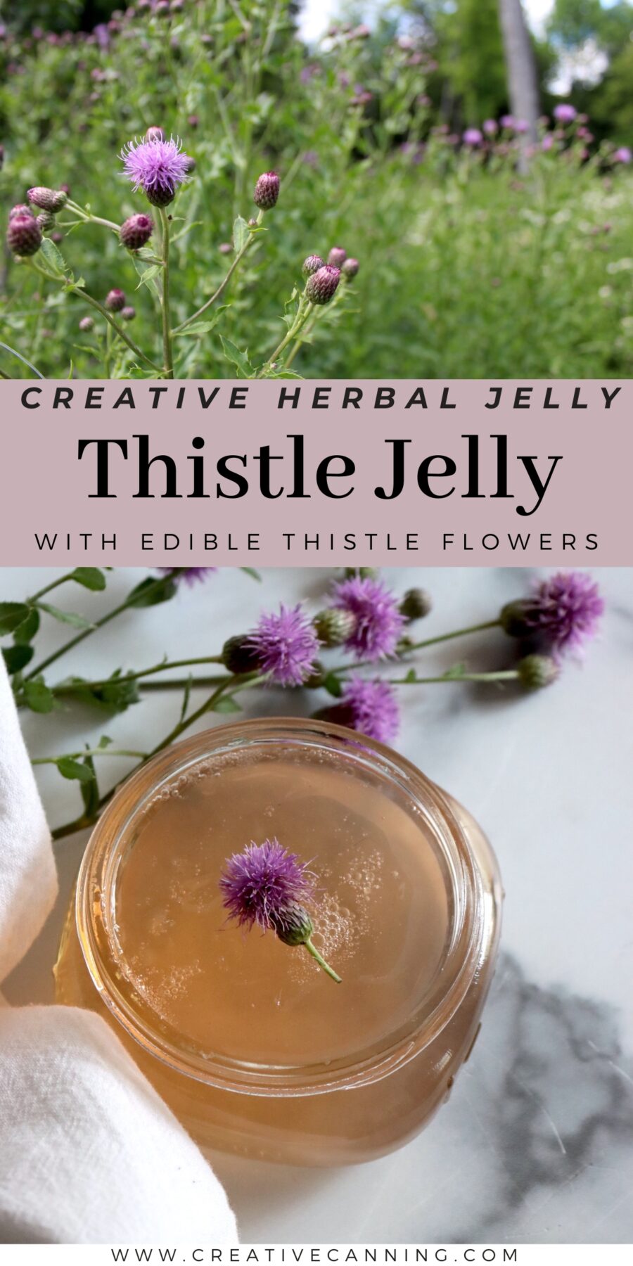 Thistle Jelly Recipe