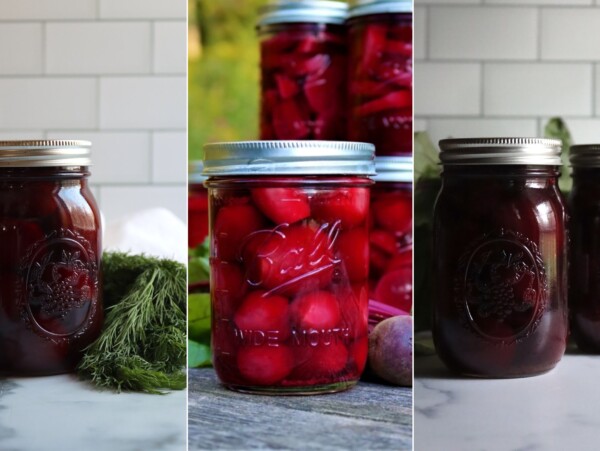 Beet Canning Recipes