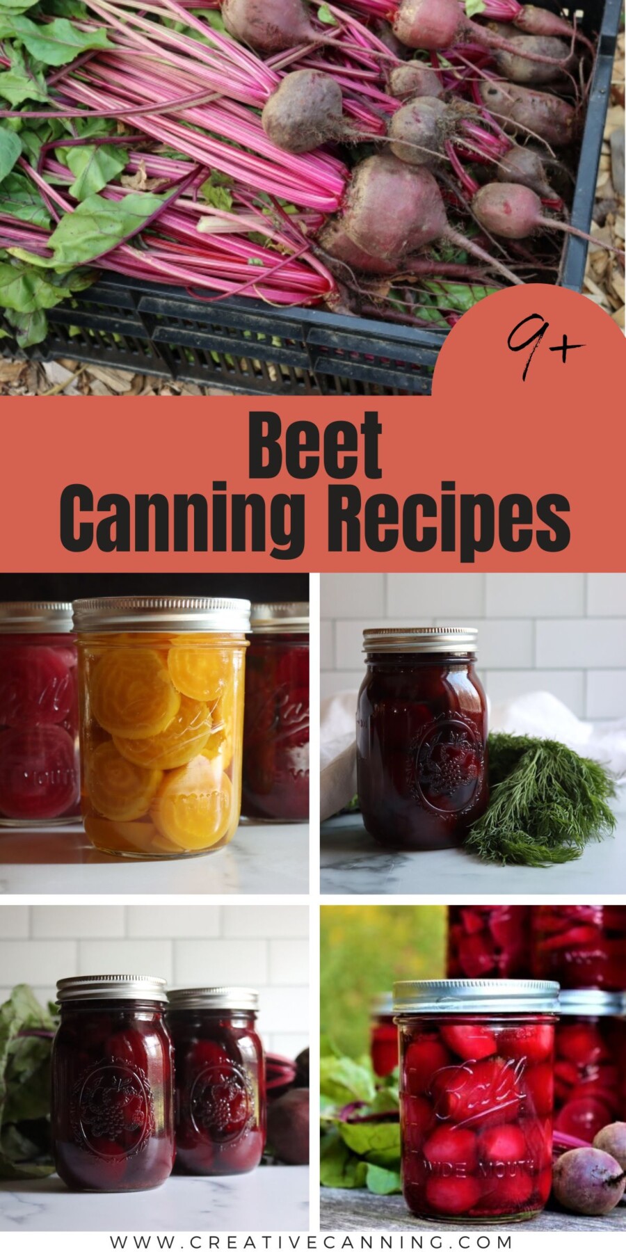 Beet Canning Recipes List