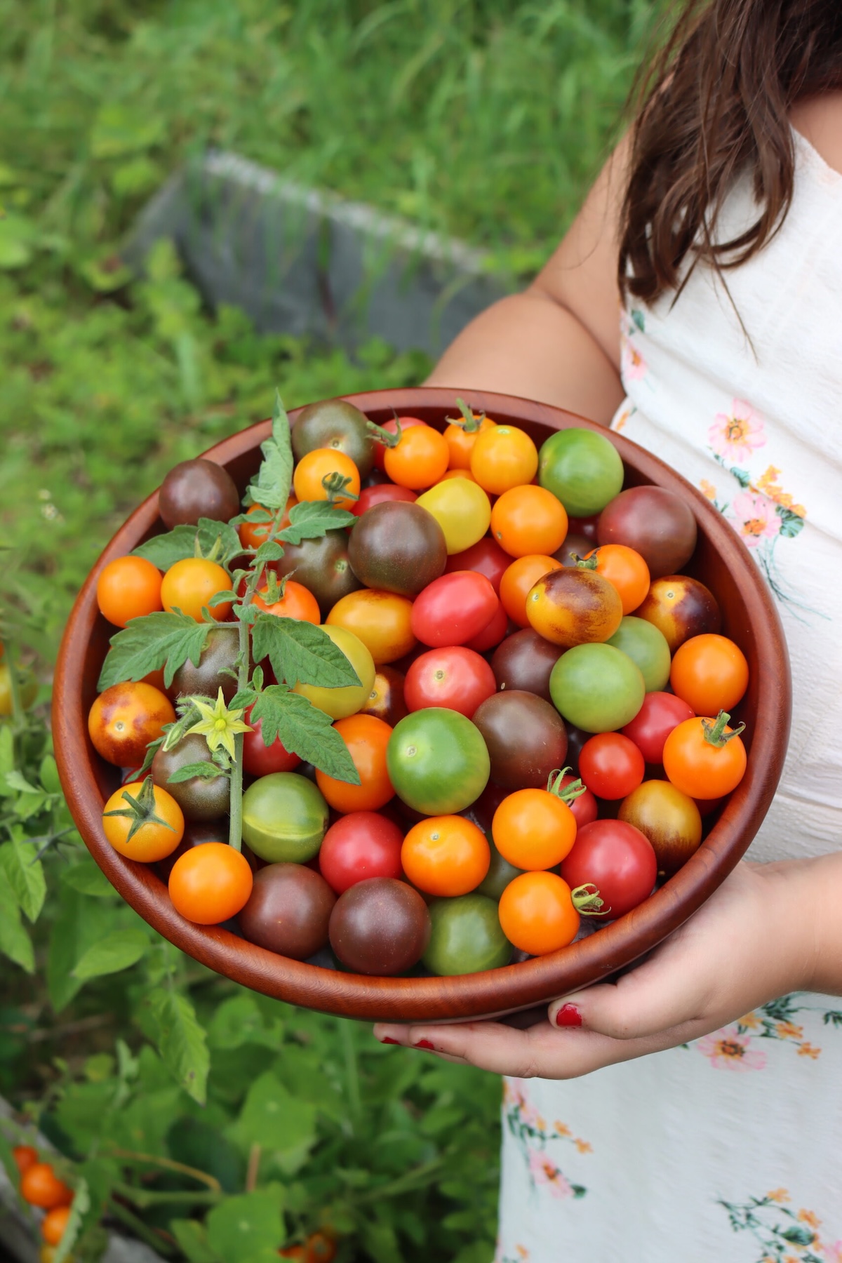 Cherry Tomato Recipes