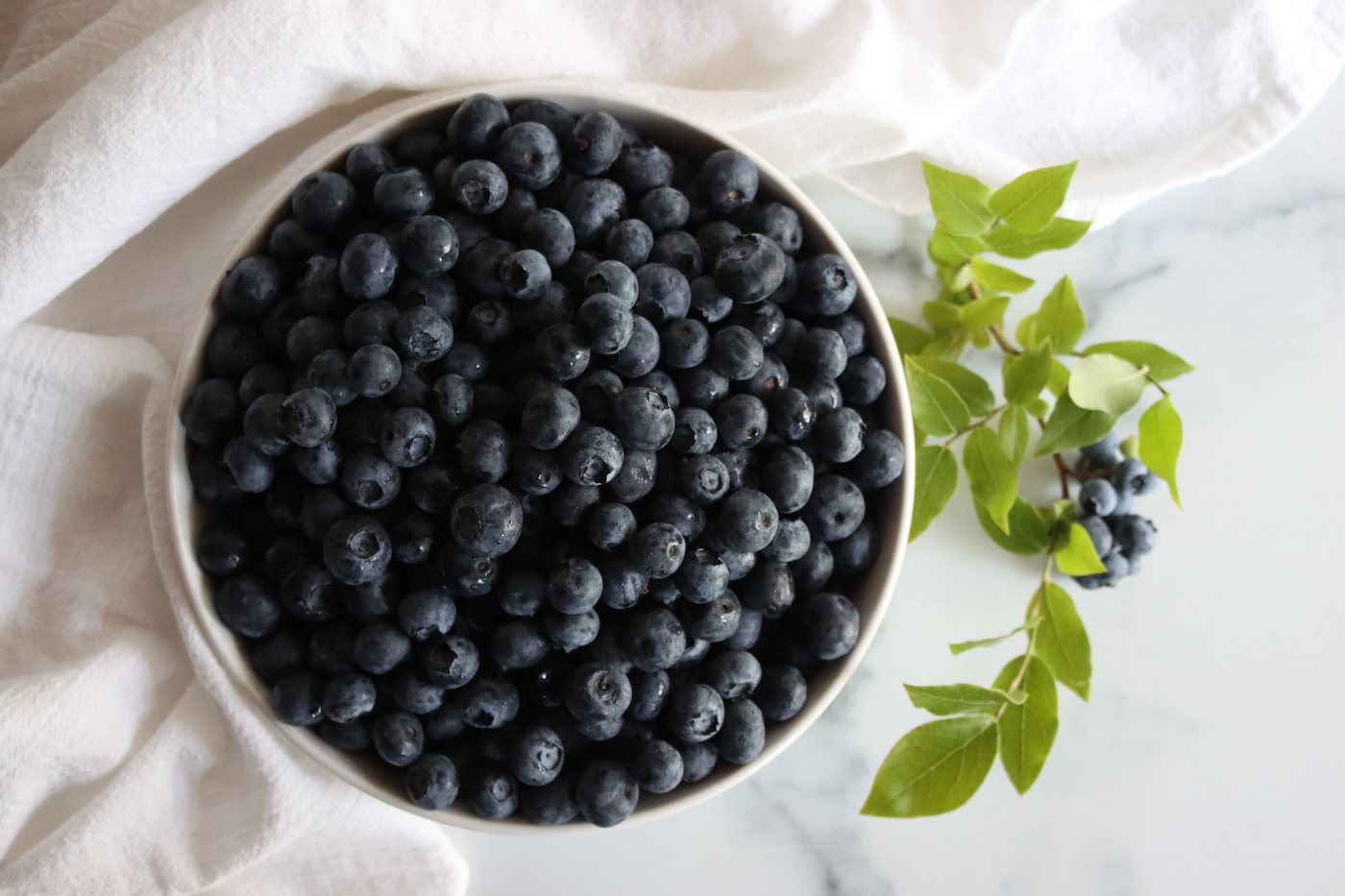 Blueberries for Canning