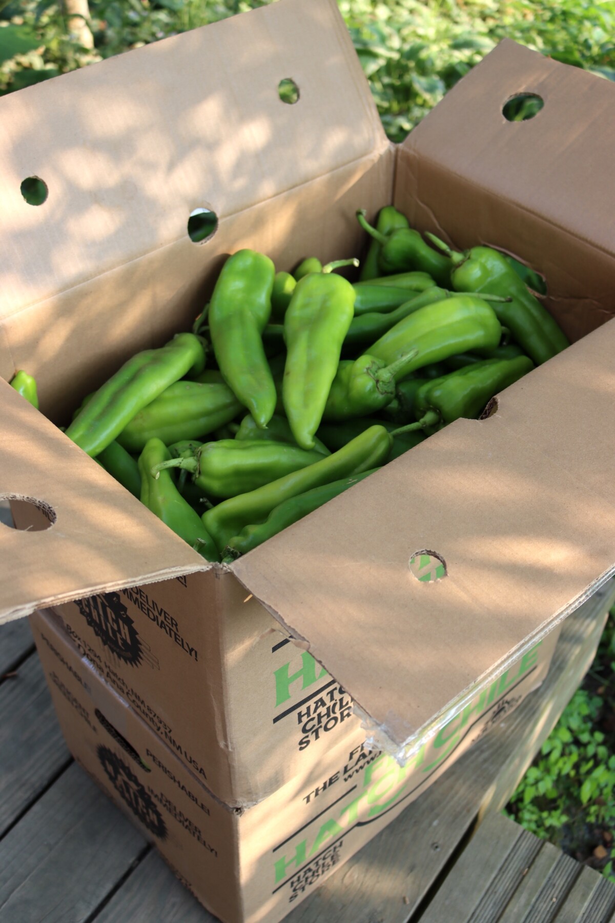Box of Hatch Chilis for canning 25 lb case