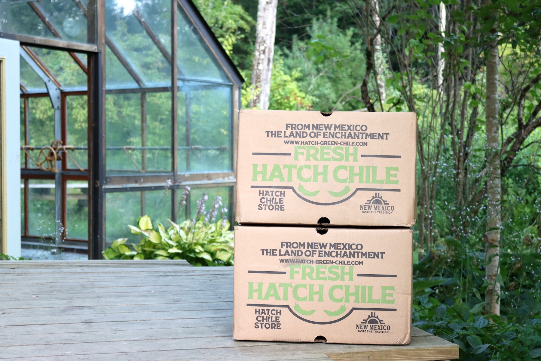 Box of Hatch Chilis for canning 25 lb case
