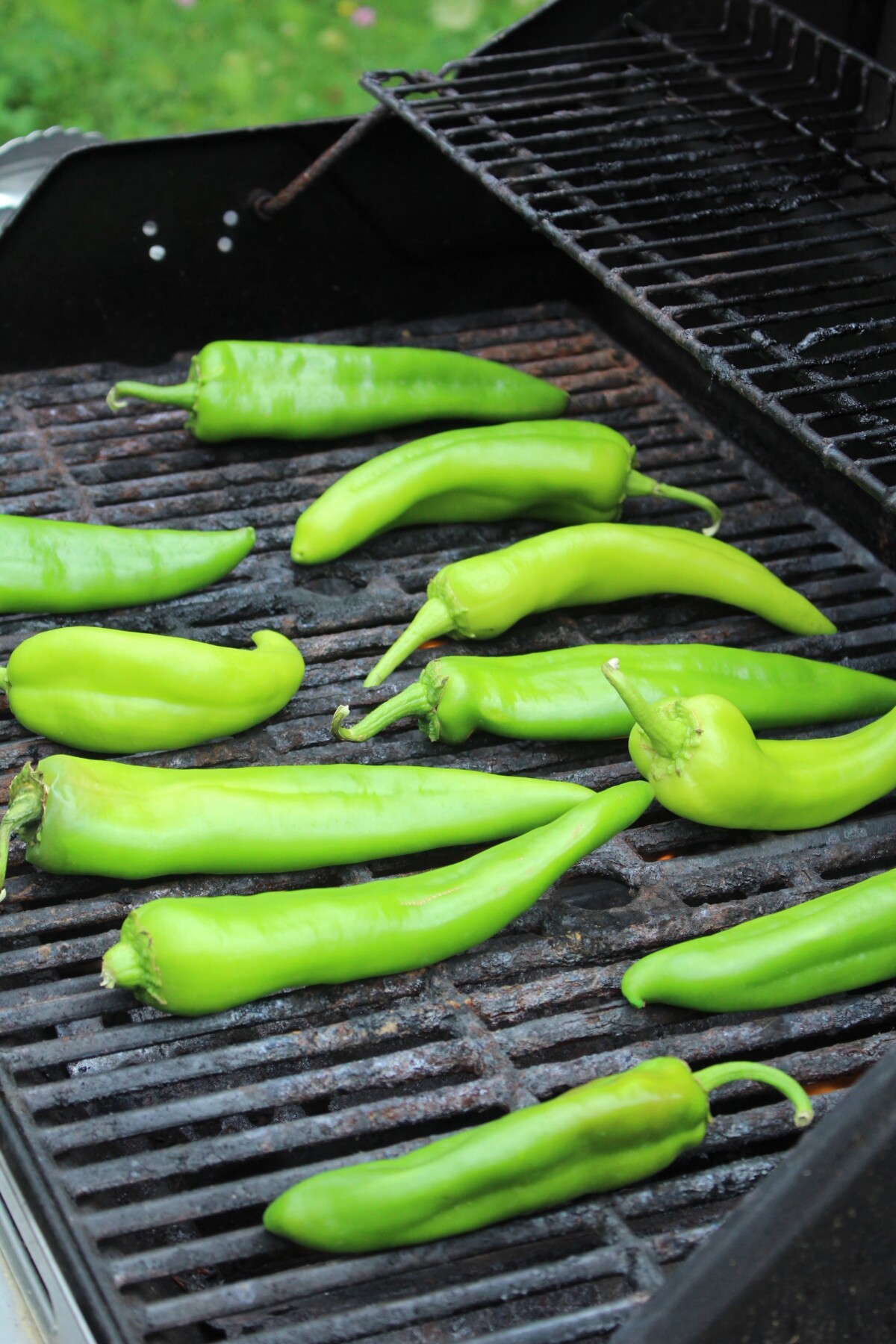 Roasting Hatch Green Chilis