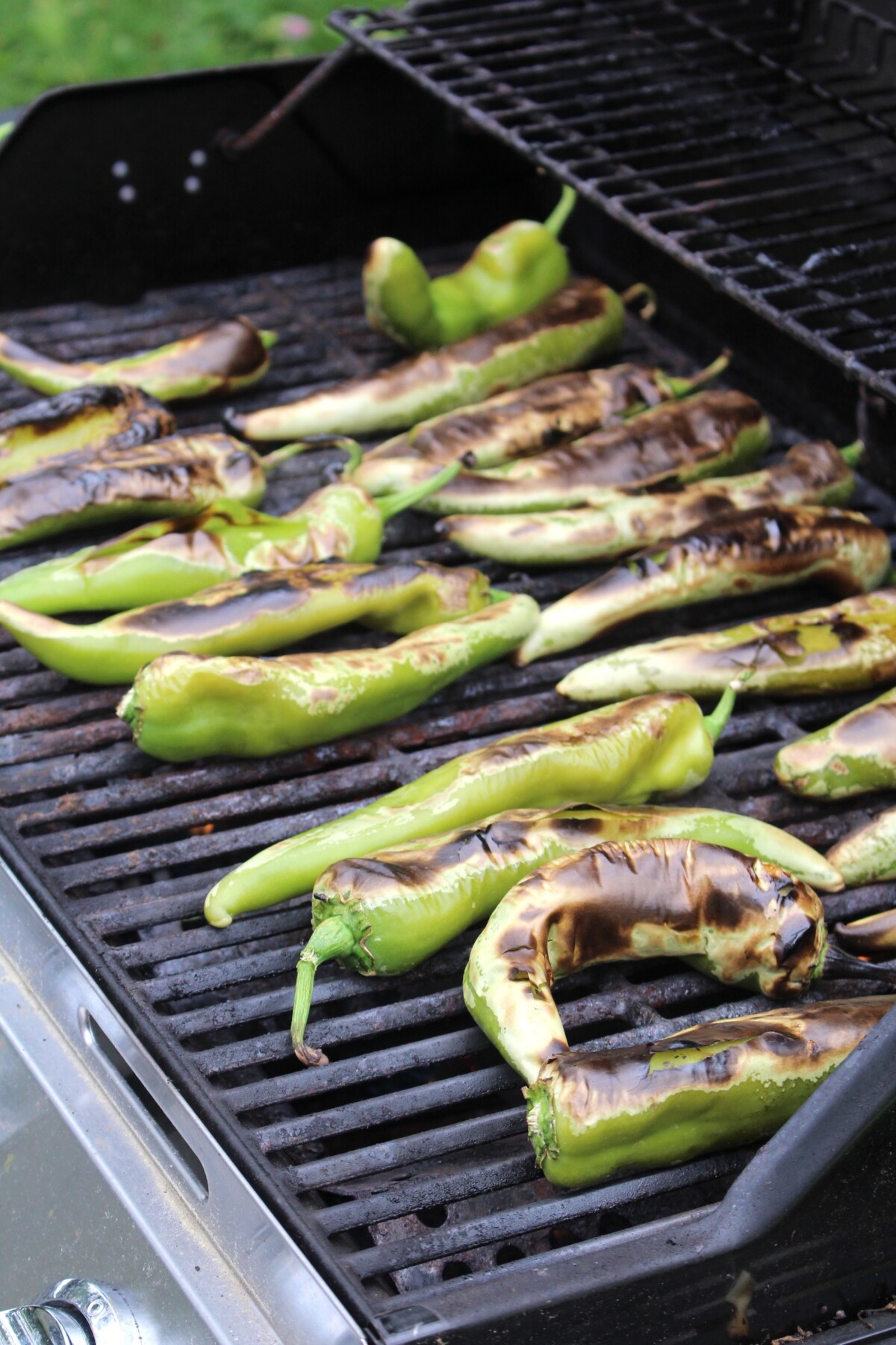 Roasting Hatch Green Chilis