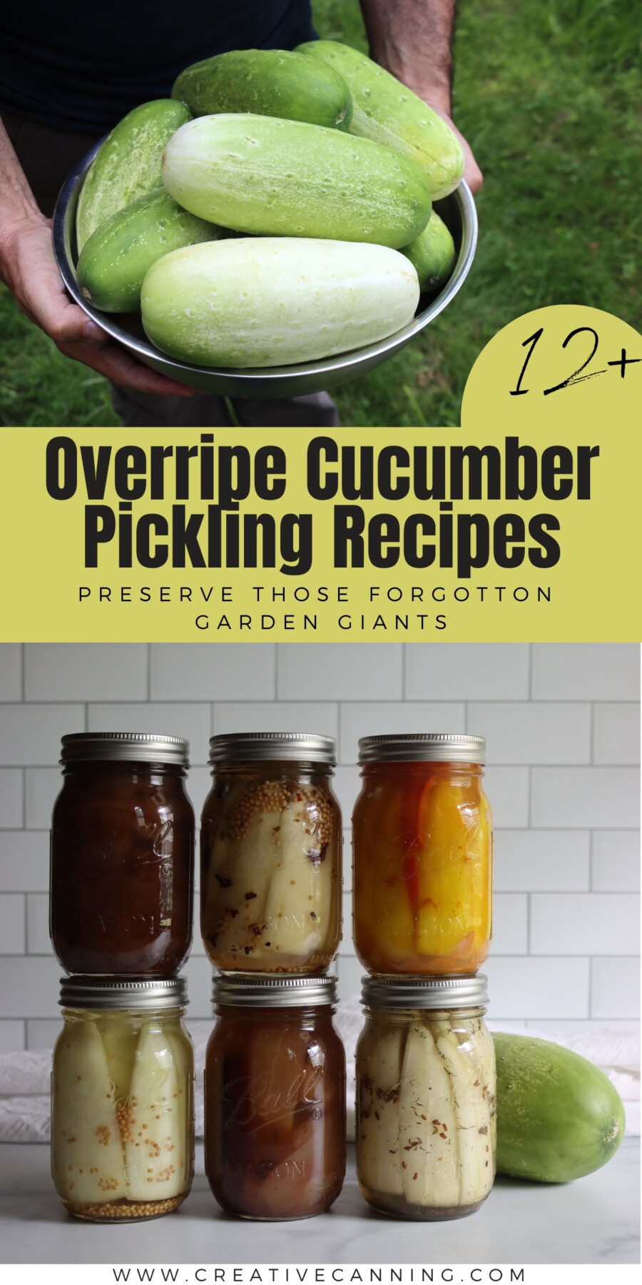 Overripe Cucumber Pickling Recipes