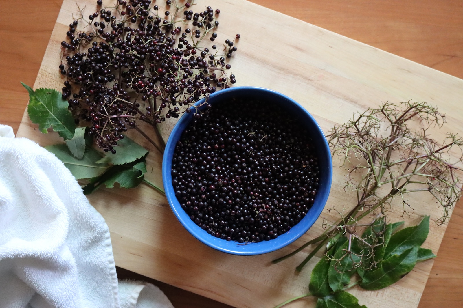 Blue bowl of de-stemmed elderberries on a cutting board with fresh elderberry clusters and stripped stems