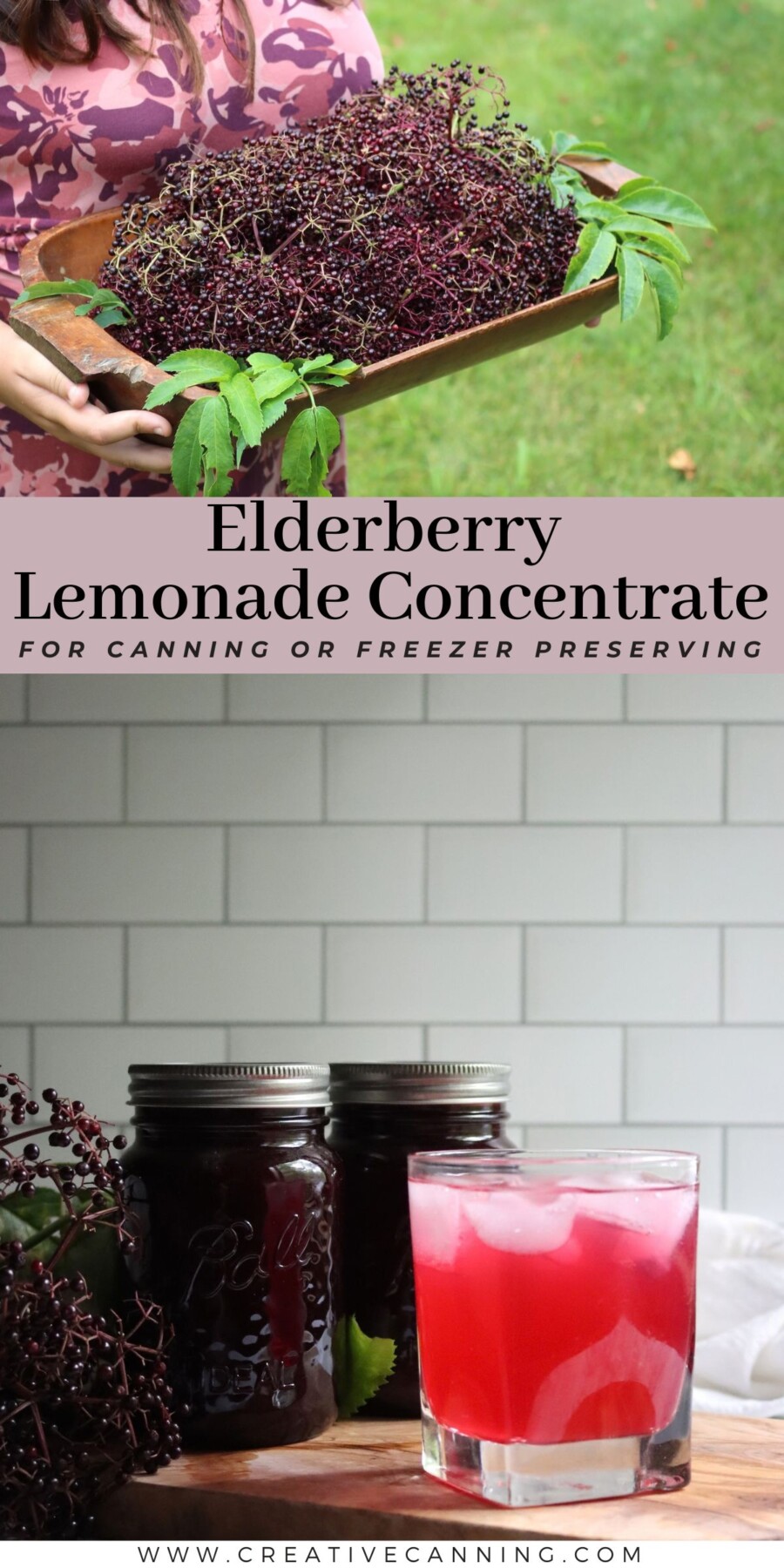 Elderberry lemonade concentrate recipe with fresh elderberries, jars of concentrate, and a glass of lemonade