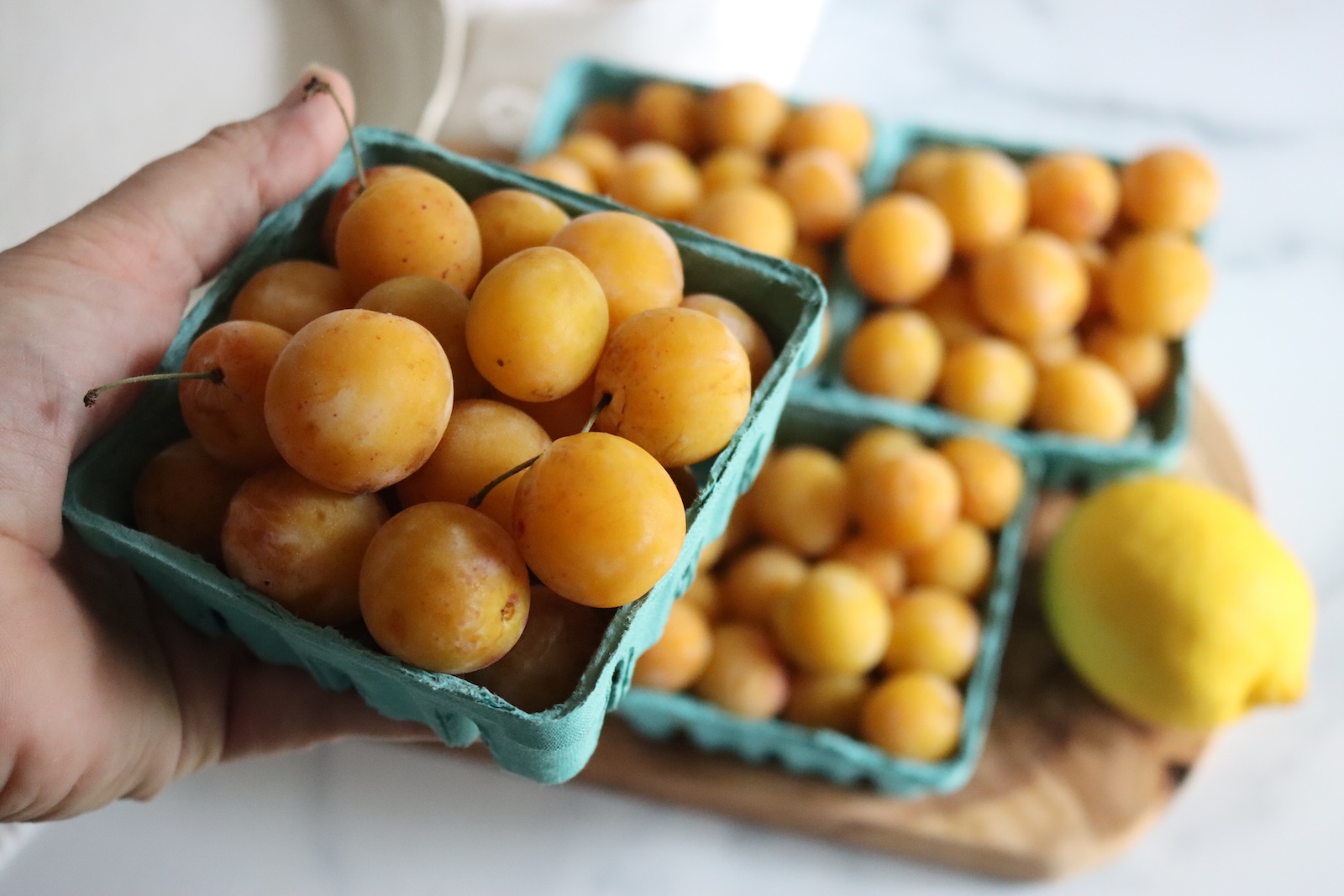 Hand holding a basket of fresh mirabelle plums