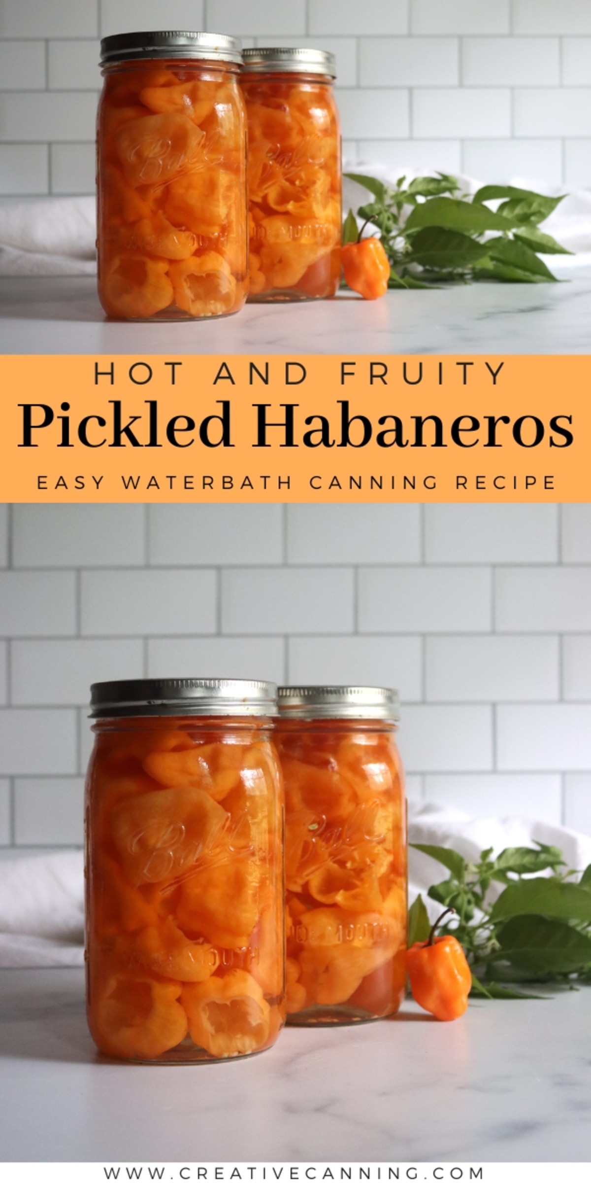 Pickled Habanero Peppers recipe pin with two quart jars of hot and fruity pickled habaneros